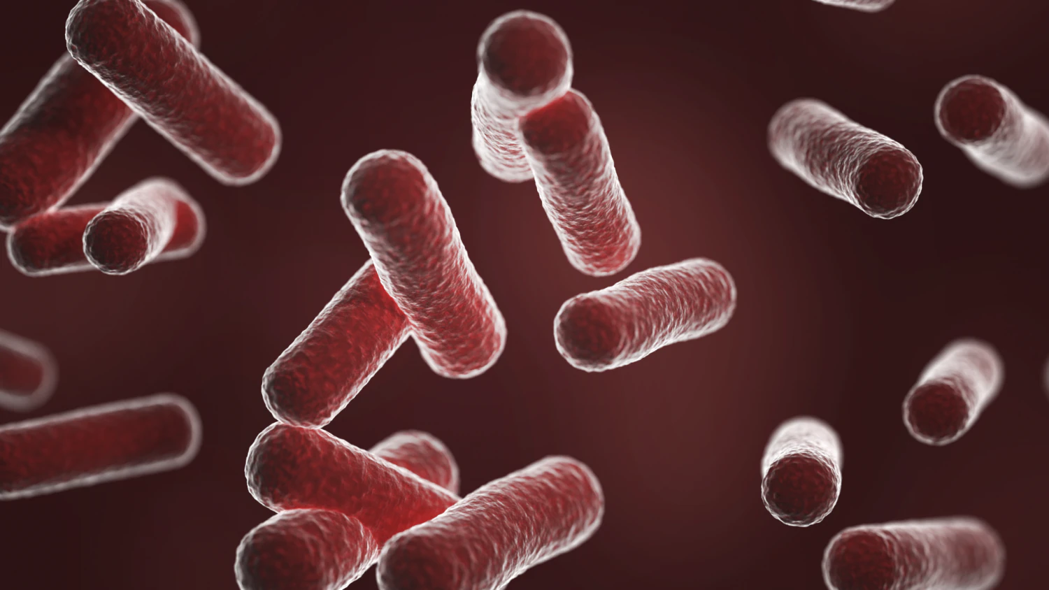 bacterias bacilo Modelo 3D .c4d .max .obj .3ds .fbx .stl .blend 