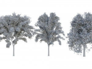 tree pack 3D Model