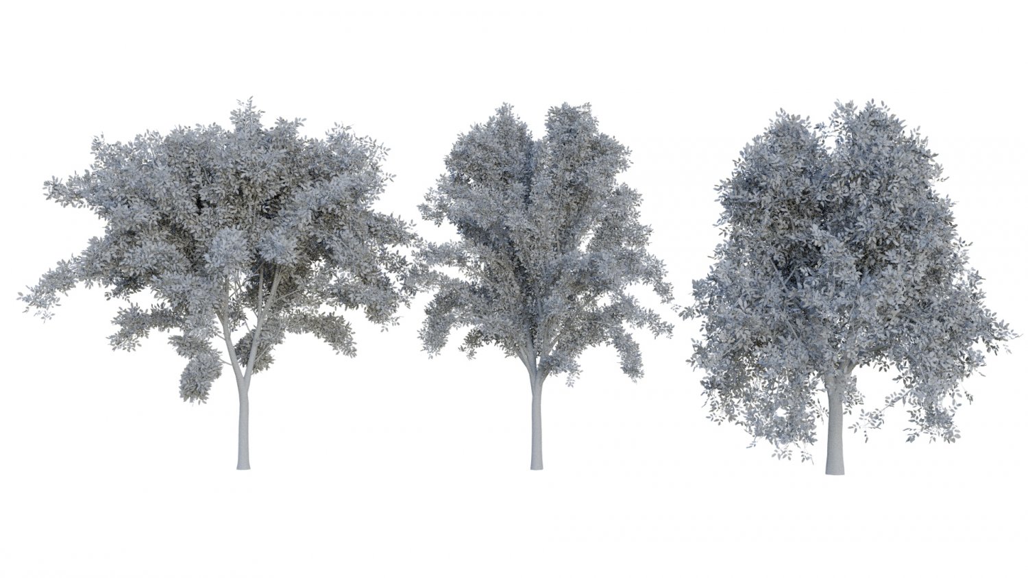 Trees pack. Trees pack