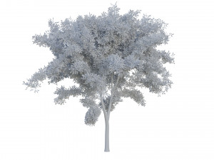 tree pack 3D Model