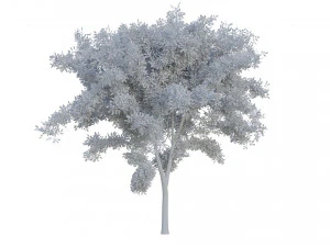 boom pakket 3D Model