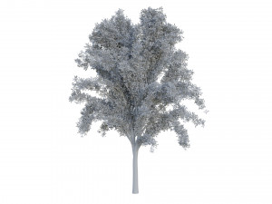 tree pack 3D Model