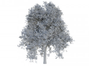 tree pack 3D Model