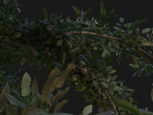 tree pack 3D Model