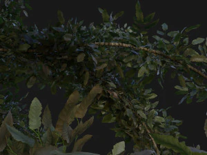 boom pakket 3D Model