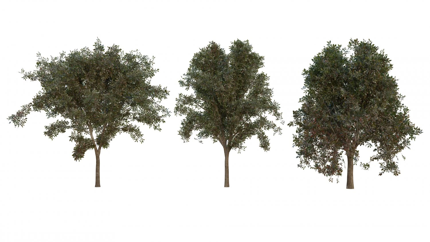 boom pakket 3D Model .c4d .max .obj .3ds .fbx .stl .blend 