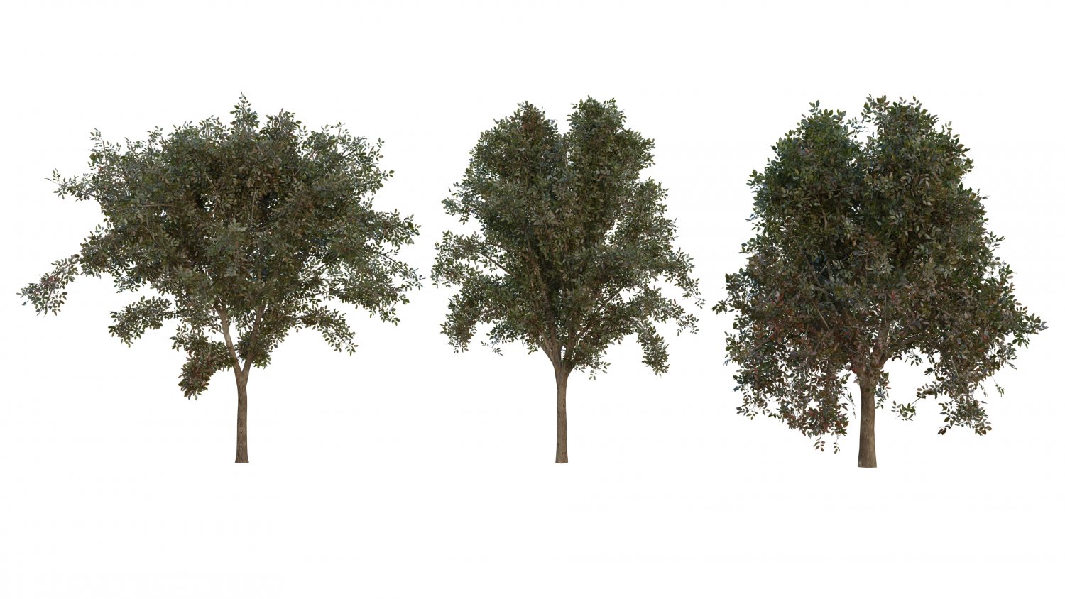Tree pack