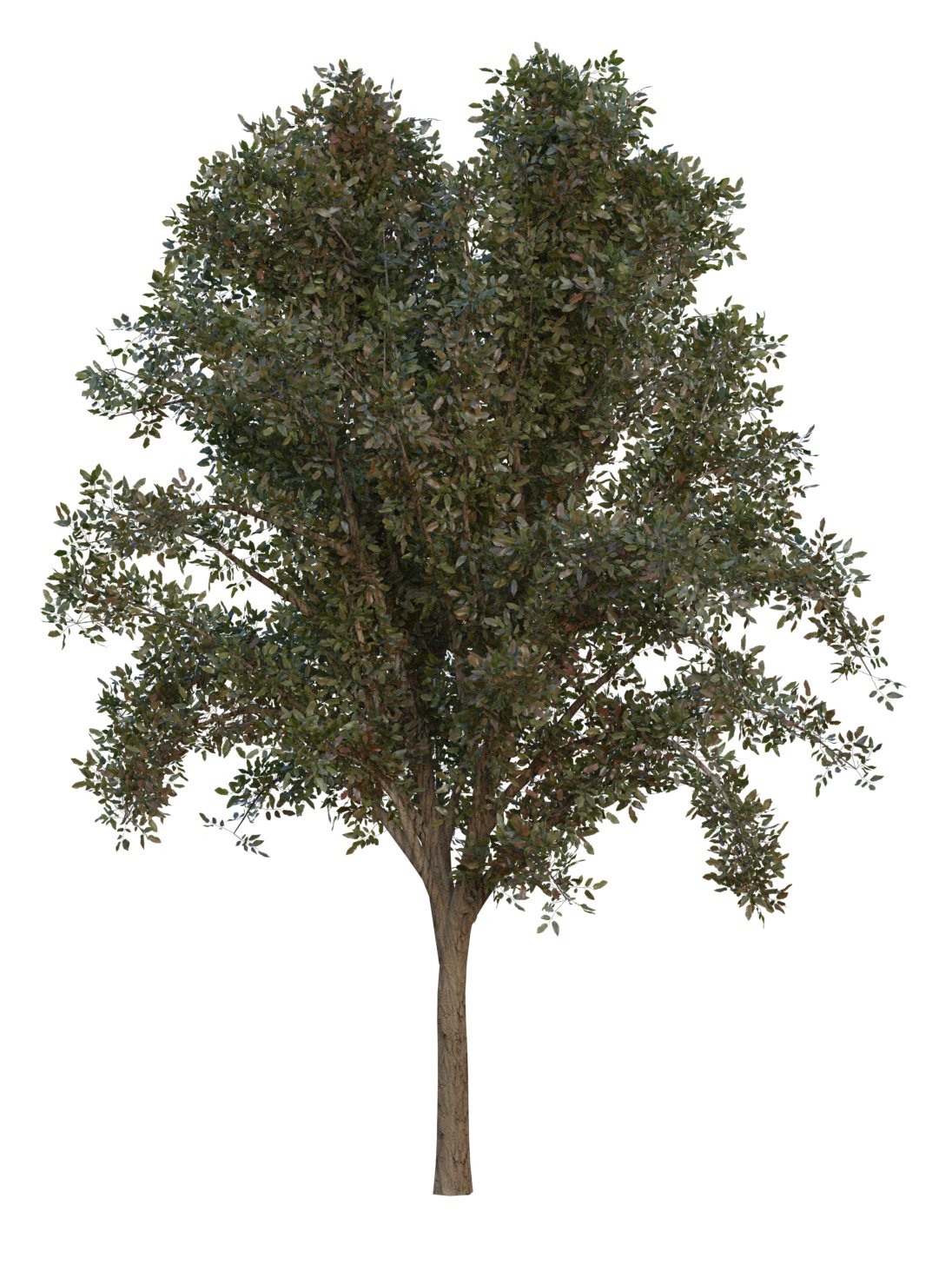 Tree pack