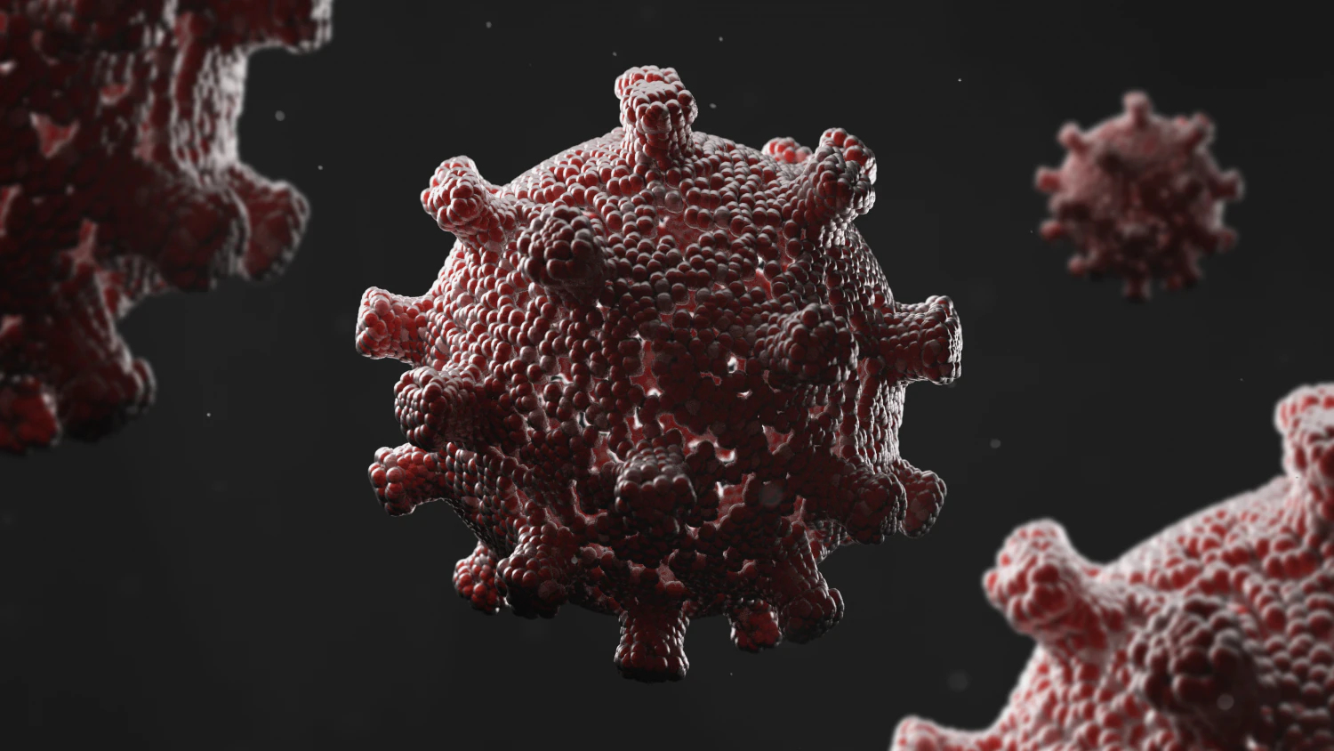 bacteria 3D Model .c4d .max .obj .3ds .fbx .stl .blend 