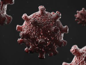 bacteria 3D Model