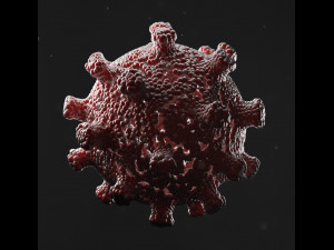 bacteria 3D Model