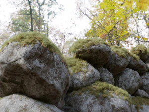 Steinpackung 3D Modell