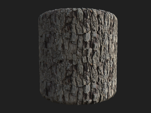tree bark seamless 01 CG Текстури