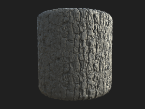 tree bark seamless 01 CG Текстури