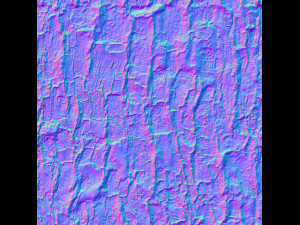 tree bark seamless 01 CG Текстури