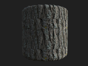 tree bark seamless 02 CG Dokuları