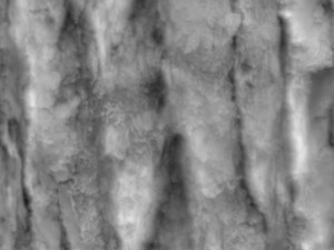 tree bark seamless 02 CG Dokuları