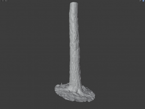 tree bark seamless 02 CG Dokuları