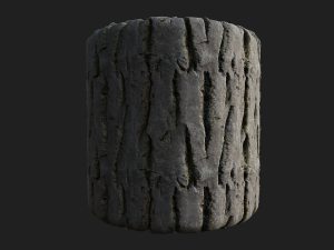 tree bark seamless 03 CG Tekstury