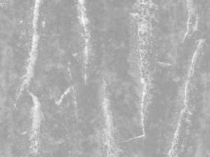 tree bark seamless 03 CG Tekstury