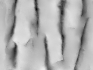 tree bark seamless 03 CG Tekstury