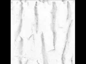 tree bark seamless 03 CG Textures