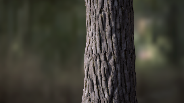 tree bark seamless 03 CG Tekstury .c4d .max .obj .3ds .fbx .stl .blend 