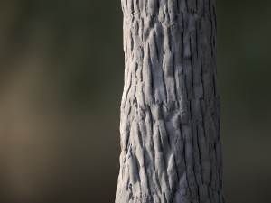 tree bark seamless 03 CG Tekstury
