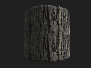 tree bark seamless 05 CG Textures