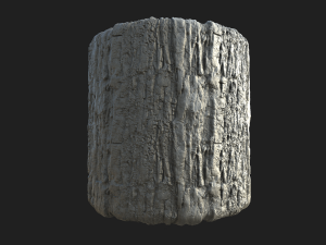 tree bark seamless 05 CG Textures