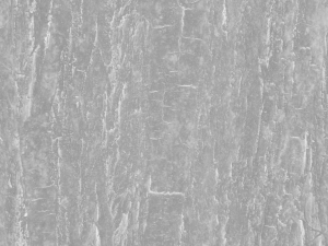 tree bark seamless 05 CG Textures