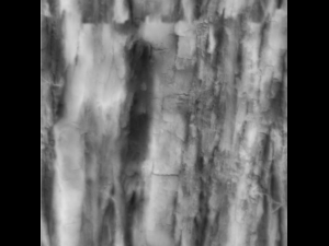 tree bark seamless 05 CG Textures