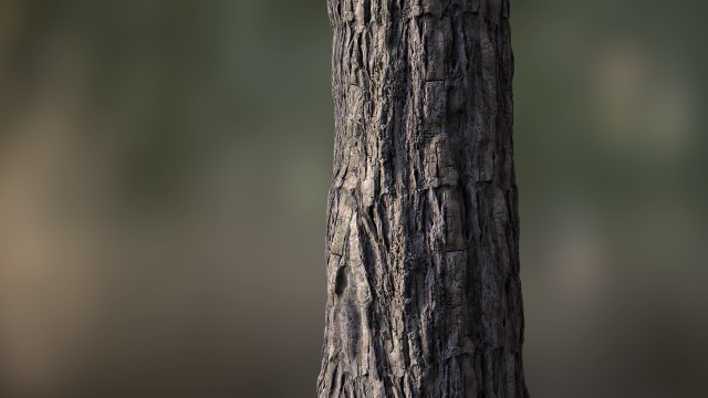 tree bark seamless 05 CG Textures .c4d .max .obj .3ds .fbx .stl .blend 