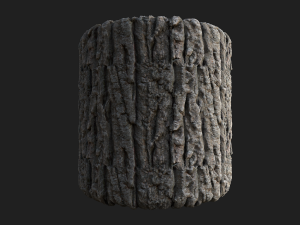 tree bark seamless 04 CG Textures