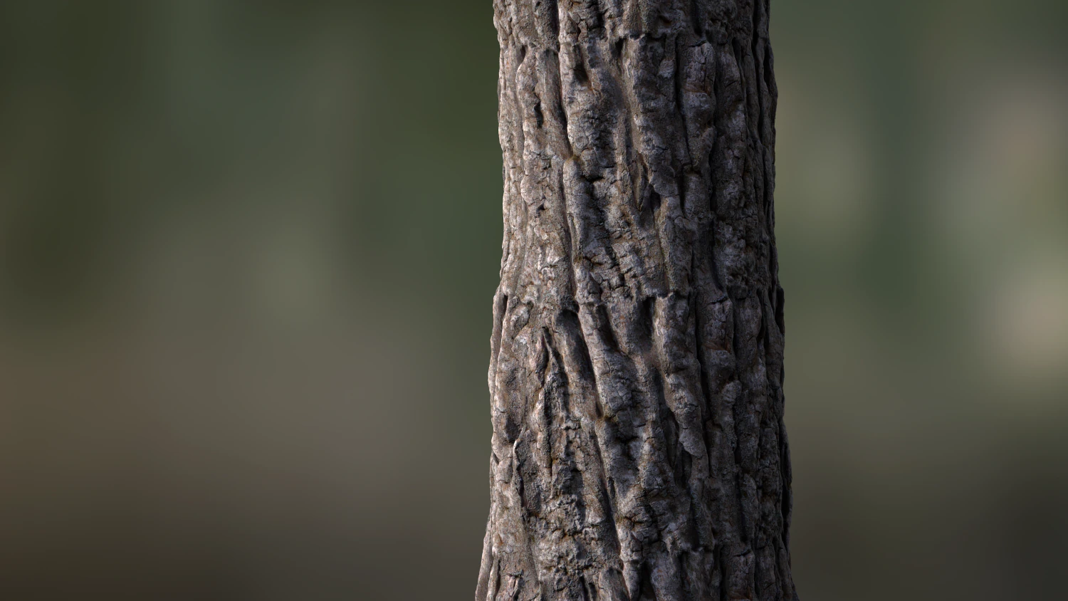 Baumrinde nahtlos 04 CG Texturen .c4d .max .obj .3ds .fbx .stl .blend 