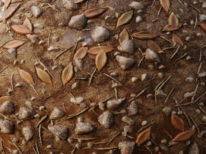 muddy soil ground seamless Texturas CG