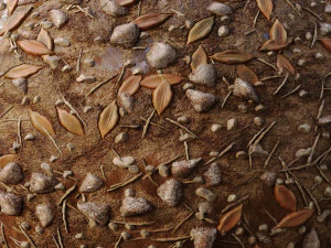 terreno fangoso senza soluzione di continuit&agrave; CG Textures