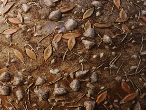 muddy soil ground seamless Texturas CG