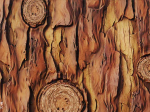 stylized wood bark CG Textures