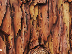 stylized wood bark CG Tekstury