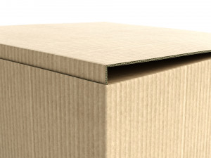 cardboard box 195 x 195cm - rigged 3Dモデル