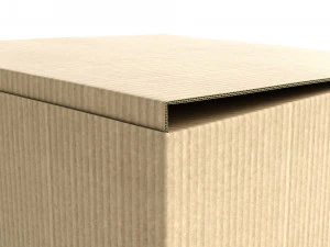 cardboard box 195 x 195cm - rigged 3D Model