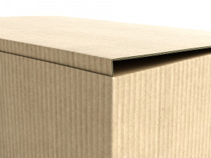 cardboard box 195 x 285cm - rigged 3D Model