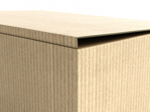 cardboard box 130 x 285cm - rigged 3D मॉडल