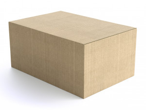 cardboard box 130 x 285cm - rigged 3D मॉडल