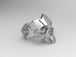 skull ring 3D Print Model