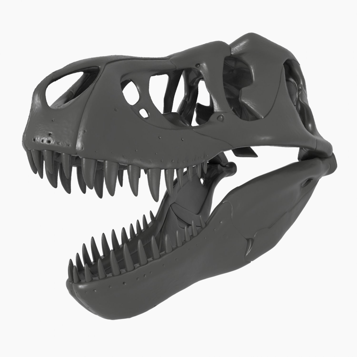 Dinossauro Tiranossauro Rex 02 / Esqueleto de corpo inteiro