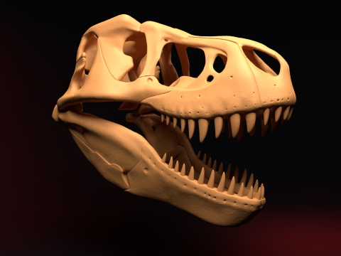 T-REX SKULL Modello di stampa 3D