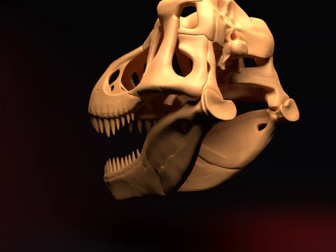 T-REX SKULL 3D Print Model