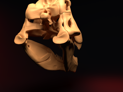 T-REX SKULL 3D प्रिंट मॉडल